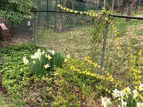 7620 Trail Run Road, Falls Church VA 22042