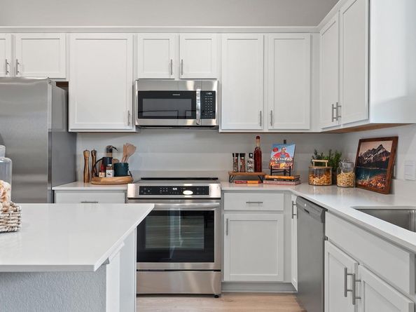 2519 Ophelia Levi LN, Round Rock TX 78665