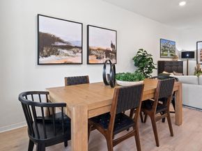 2509 Ophelia Levi LN, Round Rock TX 78665