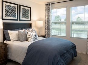 17717 Sage Thrasher DR, Pflugerville TX 78660