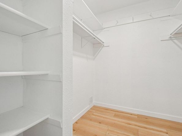 12907 Water Mill CV, Austin TX 78729