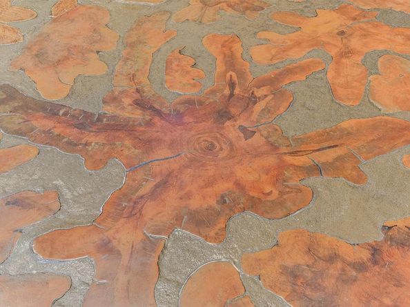 14423 Agarita RD, Austin TX 78734