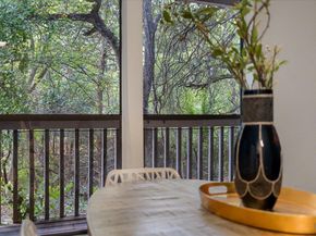 3839 Dry Creek DR 111, Austin TX 78731