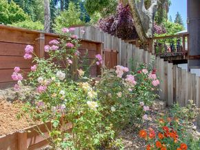 41 Grandview Avenue, Felton CA 95018