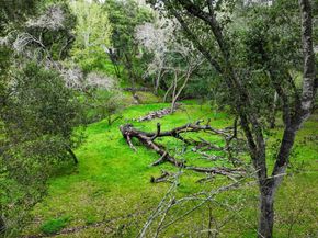 380 La Questa Way, Woodside CA 94062