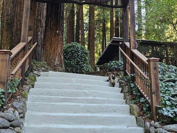 240 Old River Lane, Brookdale CA 95007