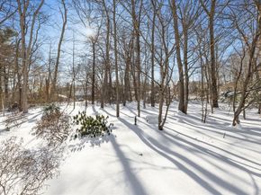 16 Grove Sq 16, Randolph MA 02368