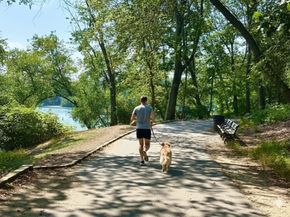 29 Goldsmith St 3, Boston MA 02130