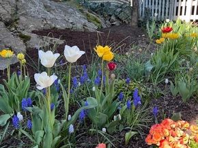 60 Roy St, Swampscott MA 01907