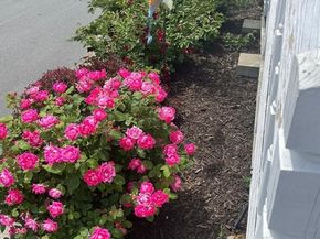 60 Roy St, Swampscott MA 01907