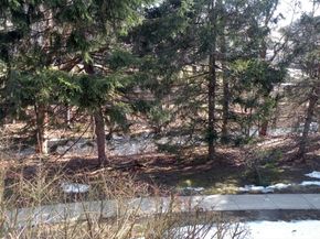 346 Neponset Street F, Canton MA 02021