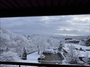 32 Whites Ave D65, Watertown MA 02472