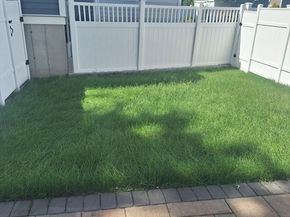 49-51D Coffey Street 51C, Boston MA 02122