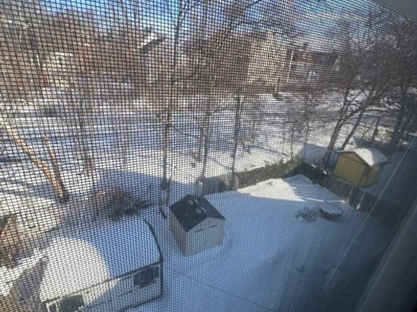 84 Alexander Steet, Boston MA 02125