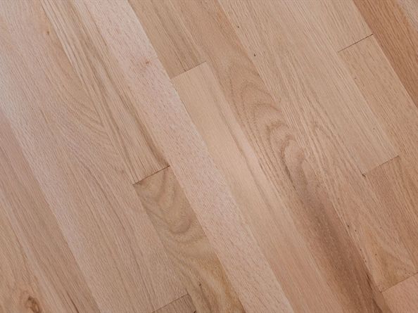 278 Princeton Street 2, Boston MA 02128