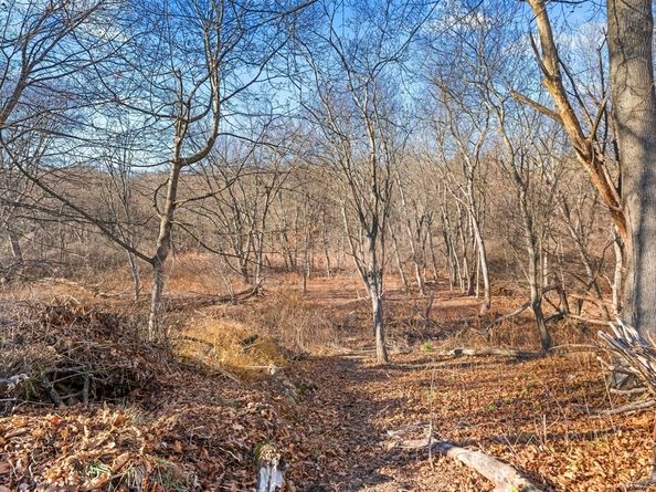 1828 Main St, Concord MA 01742