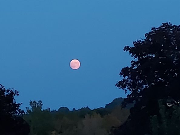 2 Talbot Way 2208, Westborough MA 01581