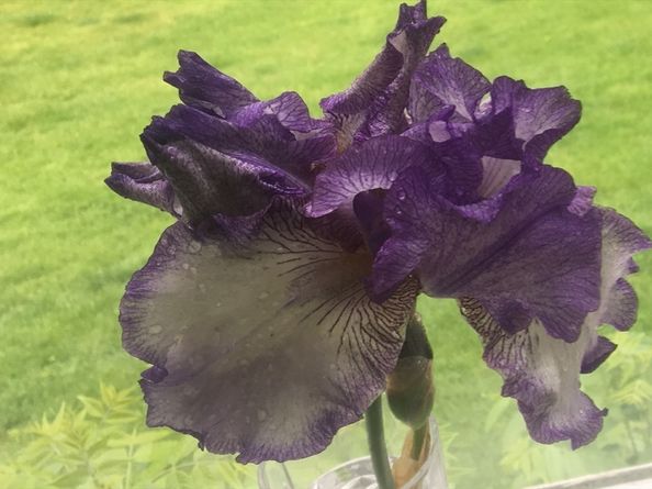 24 Perley Ave, Peabody MA 01960