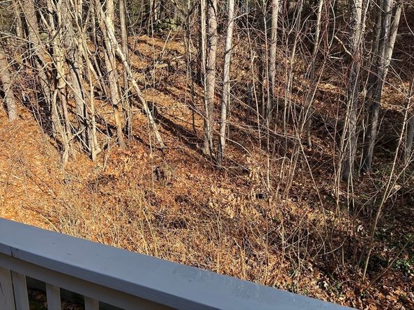 51 Londonderry Rd 51, Grafton MA 01519