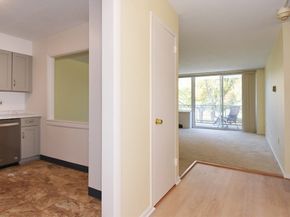 80 Salisbury St 206, Worcester MA 01609