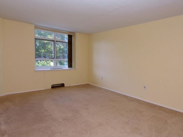 80 Salisbury St 206, Worcester MA 01609
