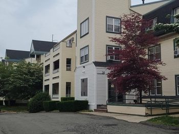 38 Carter St