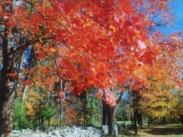 55 Widow Rites Lane, Sudbury MA 01776