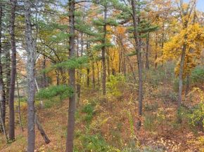 55 Widow Rites Lane, Sudbury MA 01776