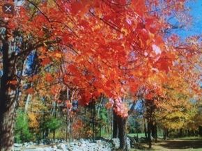 55 Widow Rites Lane, Sudbury MA 01776