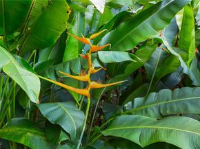 1901 Country Club Prado, Coral Gables FL 33134