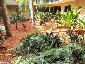 8635 NW 8th St 116, Miami FL 33126