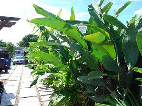 10531 SW 124th Ave, Miami FL 33186