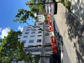 819 Midwood Street, Brooklyn NY 11203