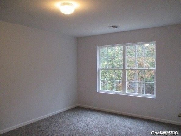 647 Doane Avenue, Bellport NY 11713