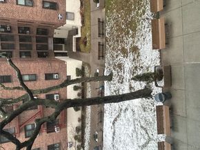 83-85 Woodhaven Boulevard 3M, Woodhaven NY 11421