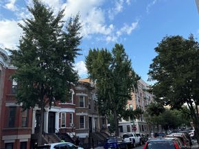 1999 Morris Avenue, Bronx NY 10453