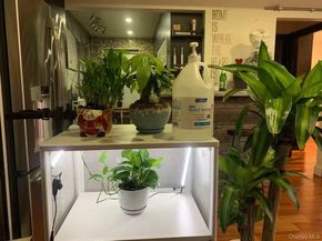 138-29 68th Drive 1C, Flushing NY 11367