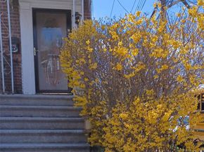 1774 Pitman Avenue, Bronx NY 10466