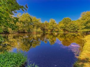 59 Watchogue Avenue 31, East Moriches NY 11940