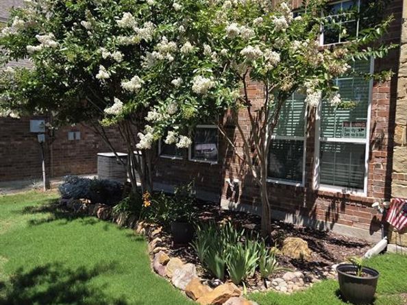 3004  Morgan Drive , Celina Texas 75009