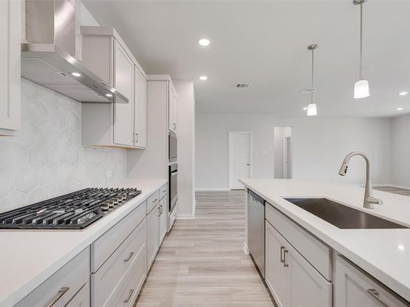 15005  Sagasta Court , Little Elm Texas 75068