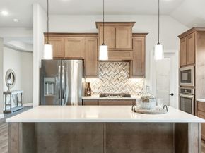 121  Emperor Oak Court , Balch Springs Texas 75181
