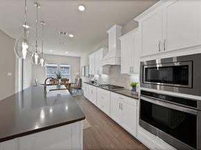205  Northern Star Court , Little Elm Texas 75068