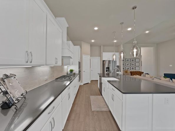 205  Northern Star Court , Little Elm Texas 75068