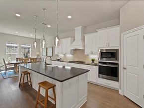 205  Northern Star Court , Little Elm Texas 75068