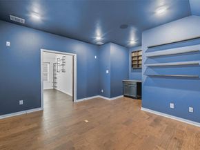 16900  Sophora Avenue , Justin Texas 76247