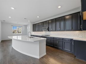 16900  Sophora Avenue , Justin Texas 76247