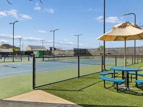 3920  Marigold Lane , Prosper Texas 75078