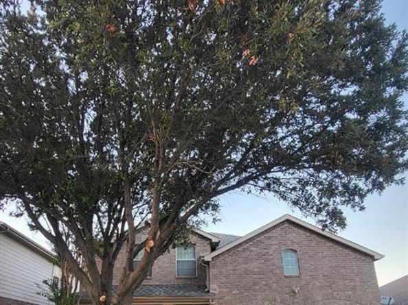 3705  Lazy River Ranch Road , Fort Worth Texas 76262