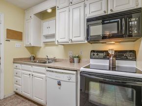 519  Pecan Acres Court , Arlington Texas 76013